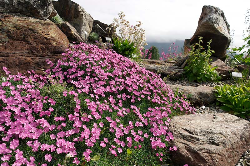 Botanische tuinen in Noorwegen