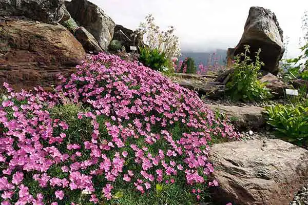 Botanische tuinen in Noorwegen Botanische tuinen in Noorwegen