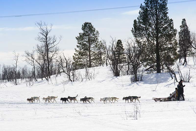 husky sledetochten tromso