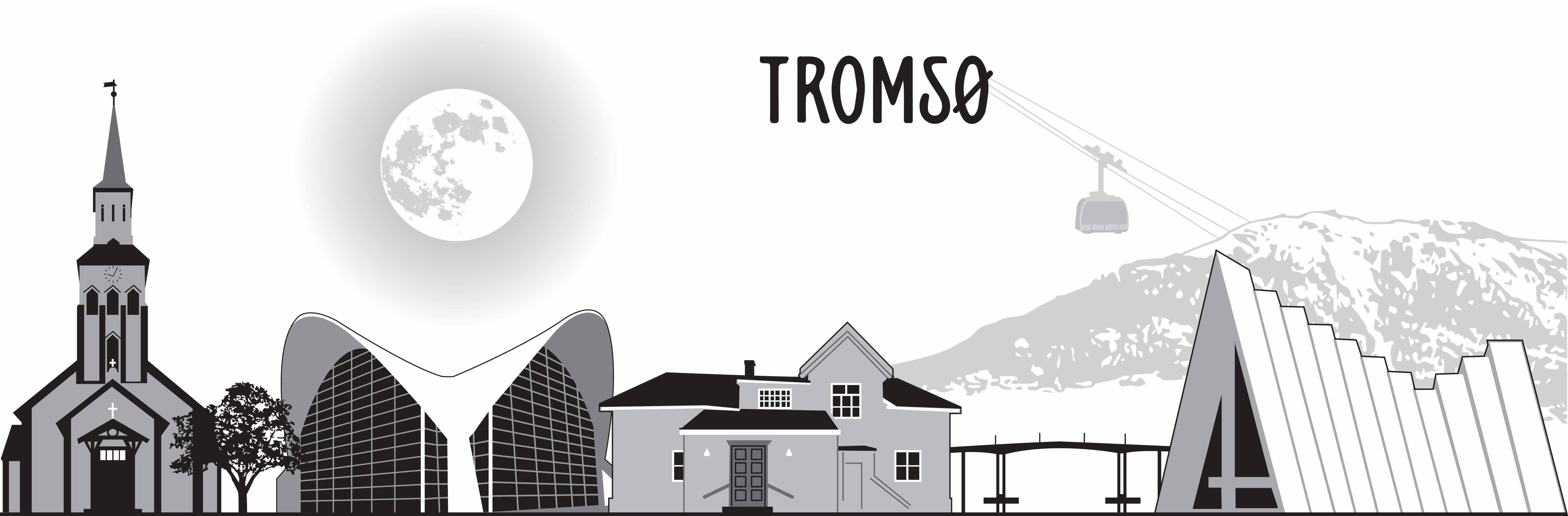 Noorderlicht excursie vanuit Tromsø