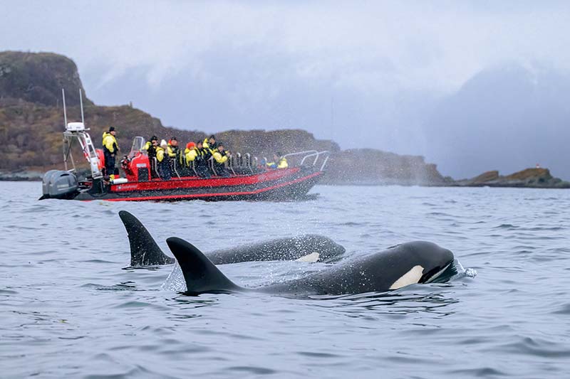 Bezienswaardigheden Tromsø Noorwegen